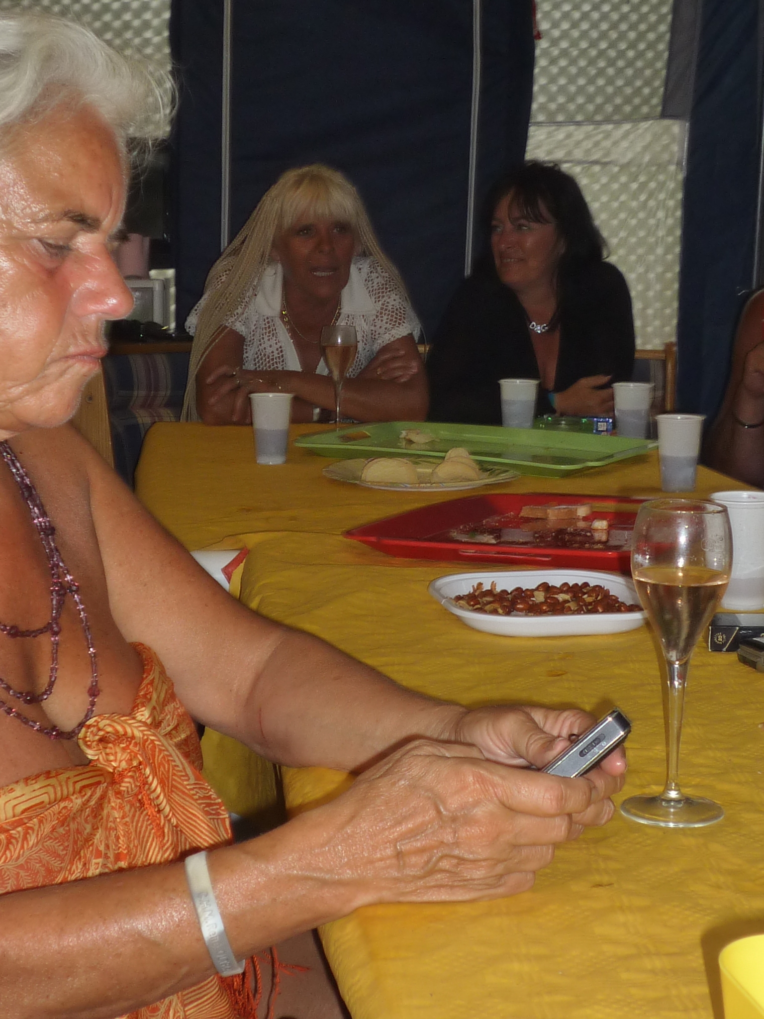 photos anniversaire Ania 2009 009.jpg